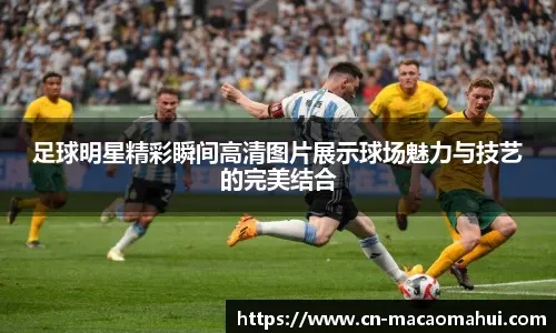 博彩运营商参与红树林保护